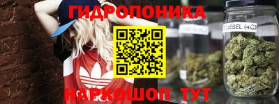МДПВ Пугачёв