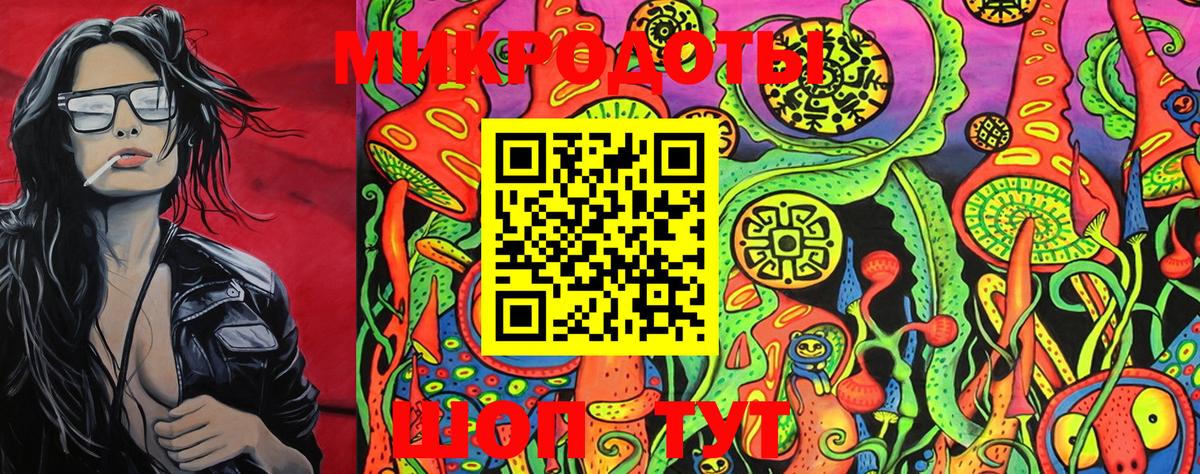 Псилоцибиновые грибы Psilocybe  Вход с VPN  Тосно 